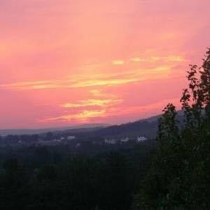 Meet your Posher, Miranda